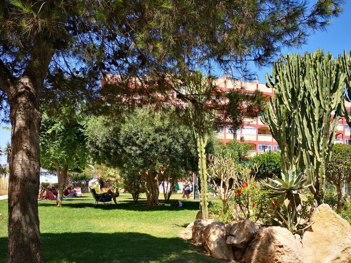Studio With Terrace And Pool Torrevieja Exterior foto